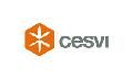 Cesvi