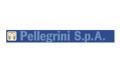 Pellegrini