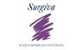 Logo Surgiva