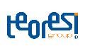 Logo Teoresi Group