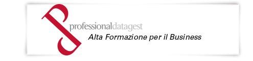 Professional Datagest – Alta Formazione per il Business