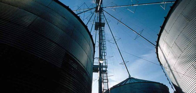 Come L'Industria Alimentare Sta Rivoluzionando la Sostenibilità e la Nutrizione Attraverso la Scienza
