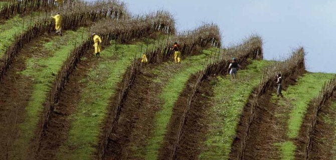 Esperienze di Casi di Studio nel Campo della Giustizia Riparativa