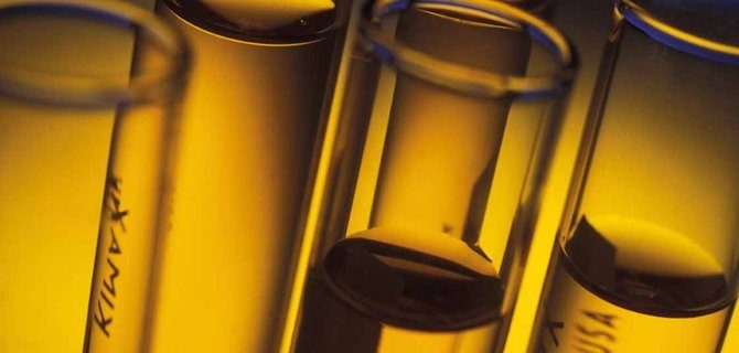 Un passo oltre: Come la laurea magistrale a Pisa prepara alle sfide biotecnologiche