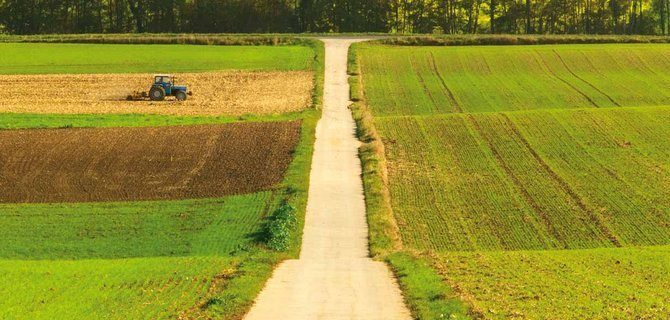 Sostenibilità e sicurezza alimentare: le sfide moderne nell'agronomia