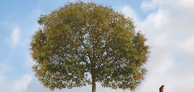 L'Impatto del Cambiamento Climatico: Approfondimenti dal Corso di Scienze Ambientali a Pisa