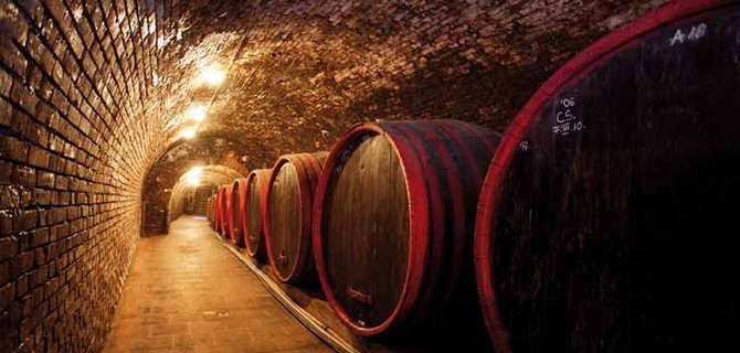 Turismo Enologico: Opportunità e Sfide per il Settore Vinicolo