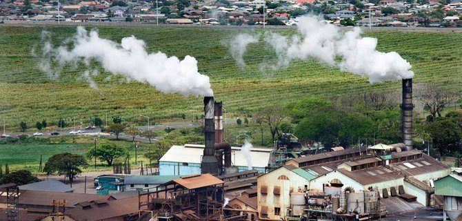Chimica Verde: Master per un Futuro Sostenibile
