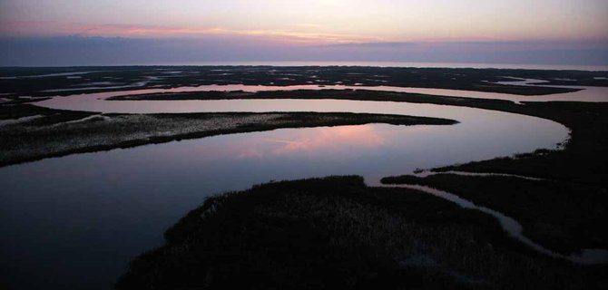 Strategie di Conservazione della Biodiversità Marina: Sfide e Opportunità