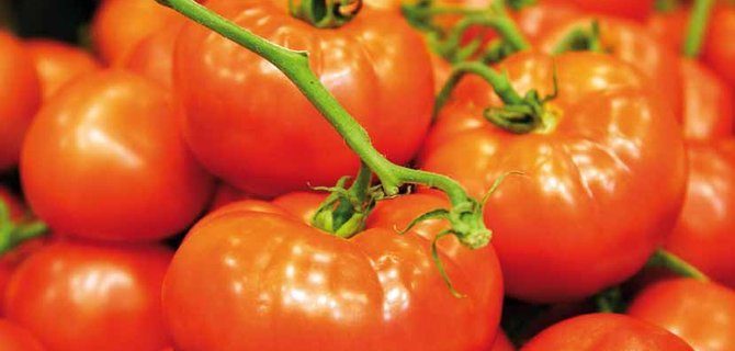 Innovazioni nei sistemi agro-zootecnici: sfide e opportunità