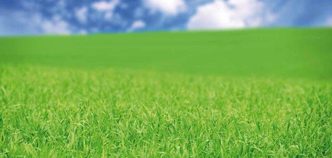 Il Ruolo del Green Deal nel Master in Green & Sustainability Manager