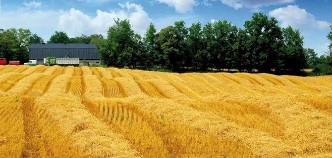 Doppio titolo: un'opportunità internazionale per gli studenti di agricoltura sostenibile