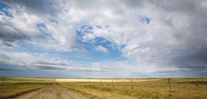 Agricoltura 2.0: Come le Biotecnologie Stanno Rivoluzionando il Settore Agroalimentare