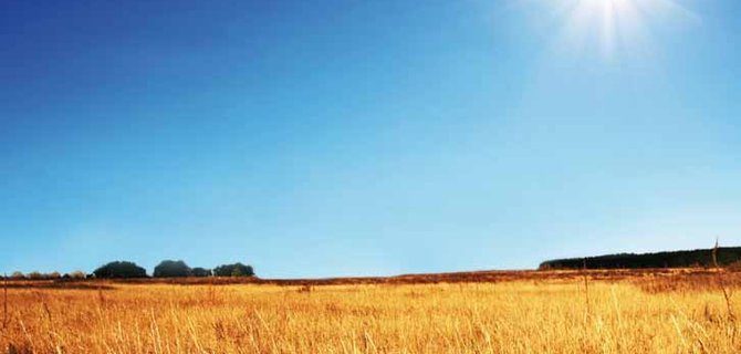 Innovazione nel diritto alimentare: nuove sfide e opportunità