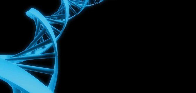 Bioinformatica e Biostrumentazione: Innovazioni e opportunità nel settore biomedico