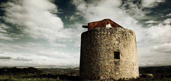 Innovazioni nella Viticoltura: come la Tecnologia sta Trasformando il Vigneto