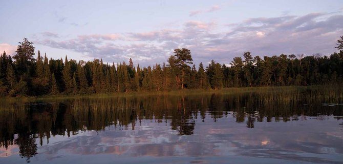 Il Ruolo della Biodiversità nella Sostenibilità Ambientale