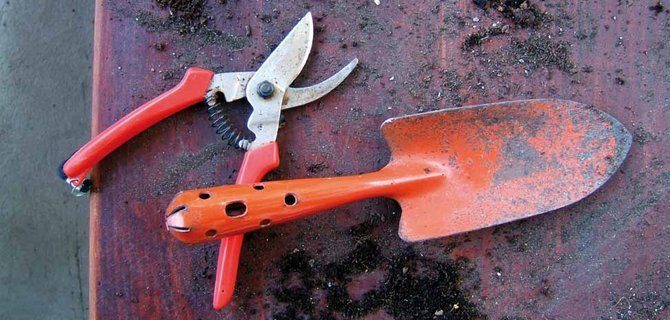 Upcycling in Architettura: Trasformare i Rifiuti in Opportunità Progettuali