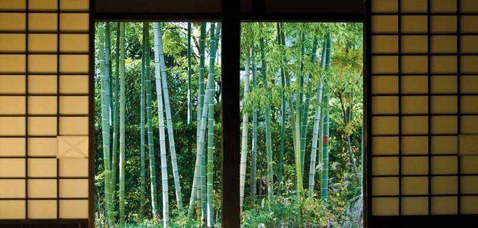 L'Importanza della Psicologia Ambientale Nel Biophilic Design: Riduzione dello Stress e Miglioramento del Comfort