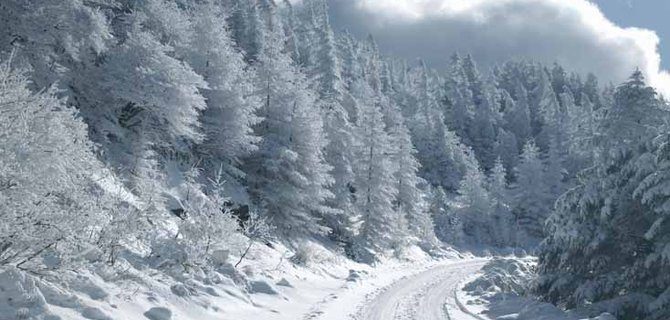 Il ruolo dell'ingegnere ambientale nella salvaguardia delle risorse naturali