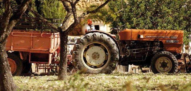 La riprogettazione dei giardini storici: Innovazione e tradizione