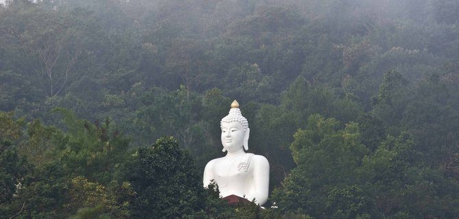 Tecniche di Meditazione: Un Viaggio Tra Storia, Psicologia e Spiritualità