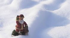 Immagine di copertina rappresentativa dell'articolo