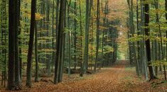 Immagine di copertina rappresentativa dell'articolo