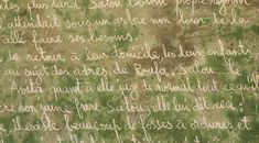 Immagine di copertina rappresentativa dell'articolo