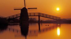 Immagine di copertina rappresentativa dell'articolo