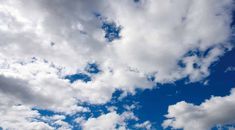 Immagine di copertina rappresentativa dell'articolo