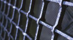 Immagine di copertina rappresentativa dell'articolo