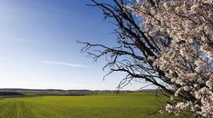 Immagine di copertina rappresentativa dell'articolo