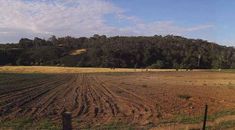 Immagine di copertina rappresentativa dell'articolo