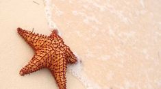 Immagine di copertina rappresentativa dell'articolo