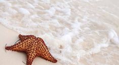 Immagine di copertina rappresentativa dell'articolo