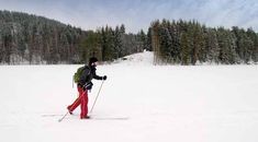 Immagine di copertina rappresentativa dell'articolo