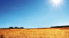 Immagine di copertina rappresentativa dell'articolo