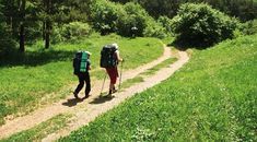 Immagine di copertina rappresentativa dell'articolo