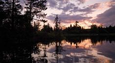 Immagine di copertina rappresentativa dell'articolo