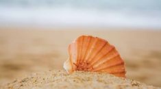 Immagine di copertina rappresentativa dell'articolo