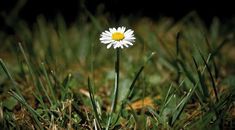 Immagine di copertina rappresentativa dell'articolo