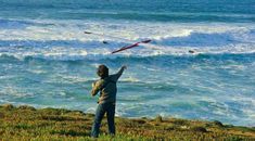 Immagine di copertina rappresentativa dell'articolo