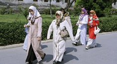 Immagine di copertina rappresentativa dell'articolo