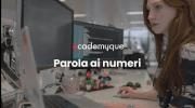Lavorare Come Programmatore, Parola ai Numeri || AcademyQue